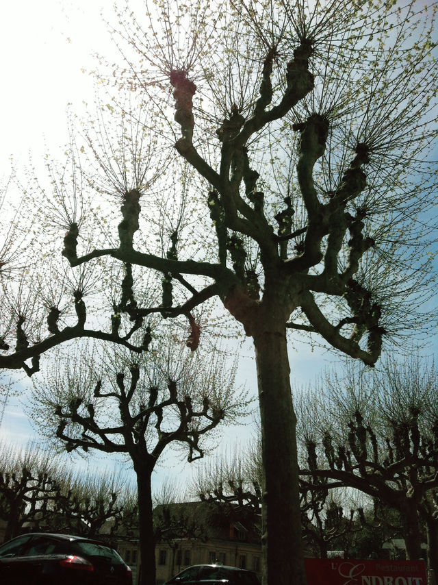 France in Autumn: Eiffel Magic, Dreamy Streets & Dessert Goals 🇫🇷✨