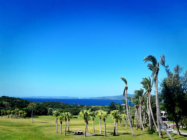 Winter Festive Visit to Eluanbi Lighthouse Winter Festive Visit to Eluanbi Lighthouse