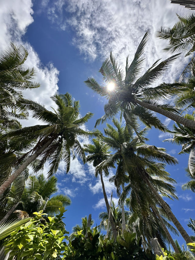 🌴 Fiji’s Hidden Gem: Navutu Stars Resort in Matayalevu 🌴 Fiji’s Hidden Gem: Navutu Stars Resort in Matayalevu