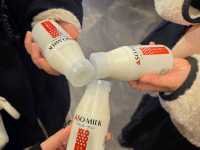 🇯🇵 구마모토 여행: 웅장한 아소산 찍고, 우유 공장 들러 쿠로카와 온천까지! 🌋♨️