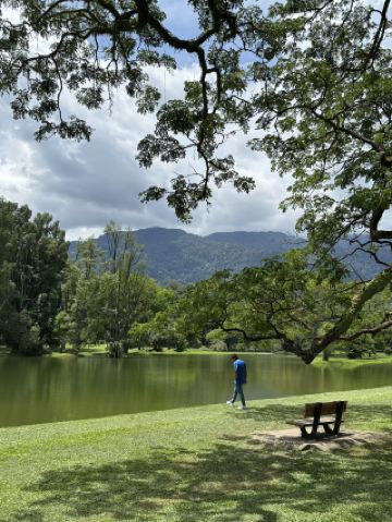 Whirlwind Taiping Day Trip 🚗✨: Eco Adventures & Iconic Foodie Stops 🍧🥢