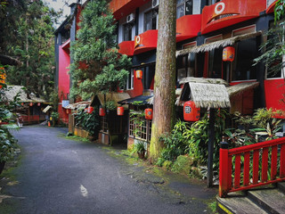 溪頭妖怪村
