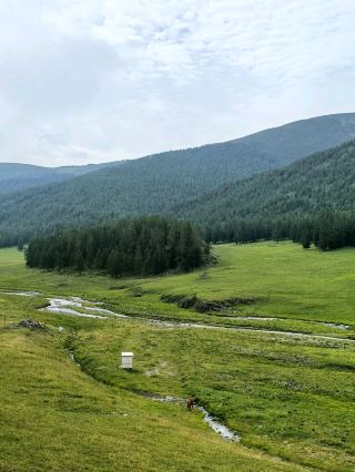 Ili Xinjiang China overrated spot-Beautiful, But the Internet Made Me Expect Too Much