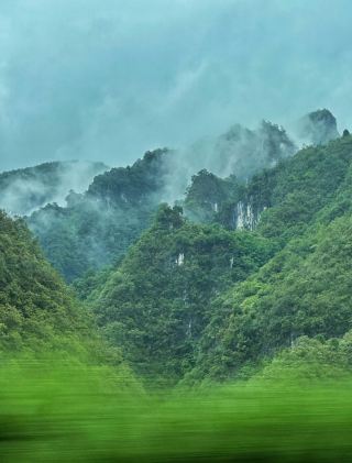 ☁️ Above the Clouds in Guizhou — A Sea of Flowers & Golden Terraces