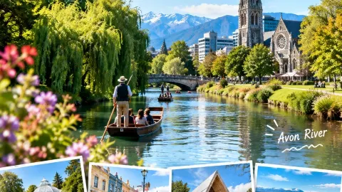 🇳🇿 Christchurch Surprised Me — A City Slowly Rebuilding Its Own Character✨ — traveler post in Akaroa