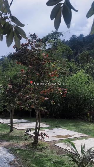 🇲🇾 A little escape into the forest in Bentong 🌿