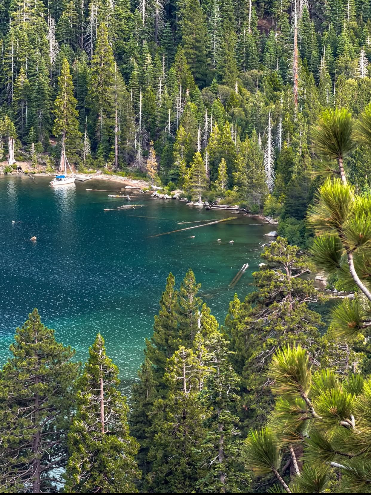 Lake Tahoe, USA 🇺🇸 — A Paradise of Blue Waters and Mountains
Lake Tahoe is one of the most breathtaking natural destinations in the United States, nestled high in the Sierra Nevada mountains on the border of California and Nevada. Famous for its remarkably clear blue water, pine-covered shores, and dramatic mountain scenery, this magnificent freshwater lake looks like a painting brought to life.
Formed thousands of years ago through geological processes involving faulting and glacial activity, Lake Tahoe reaches a depth of approximately 1,645 feet (501 meters), making it the second-deepest lake in the United States by maximum depth.
From the spectacular views of Emerald Bay to the peaceful beaches and forest trails, every corner of Lake Tahoe offers a different kind of beauty. Summer brings opportunities for swimming, kayaking, boating, and hiking, while winter transforms the surrounding mountains into a snowy paradise for skiing and snowboarding.
As the sun sets behind the mountains, golden light dances across the water, creating a magical atmosphere that attracts photographers and nature lovers from around the world.
Lake Tahoe is more than a destination; it is a place where crystal-clear waters, majestic mountains, and peaceful sunsets remind us how extraordinary nature can be. 🌊🏔️
#LakeTahoe #California #Nevada #USA #EmeraldBay #MountainViews #NatureLovers #HiddenGems #TravelPhotography #BeautifulDestinations
