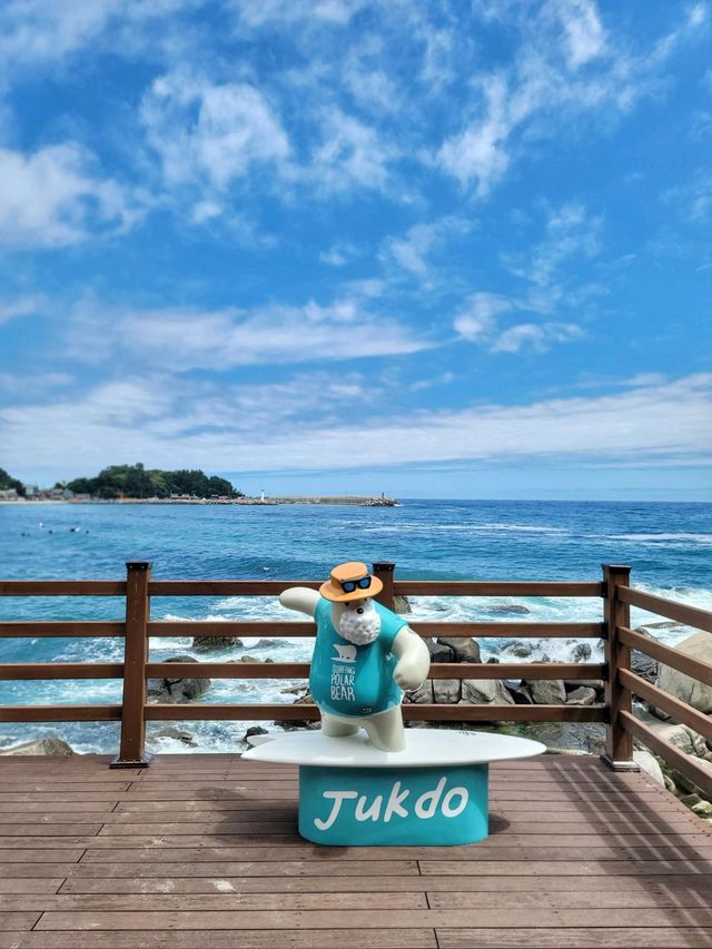 양양의 푸른 바다가 한눈에 펼쳐지는 곳💙
