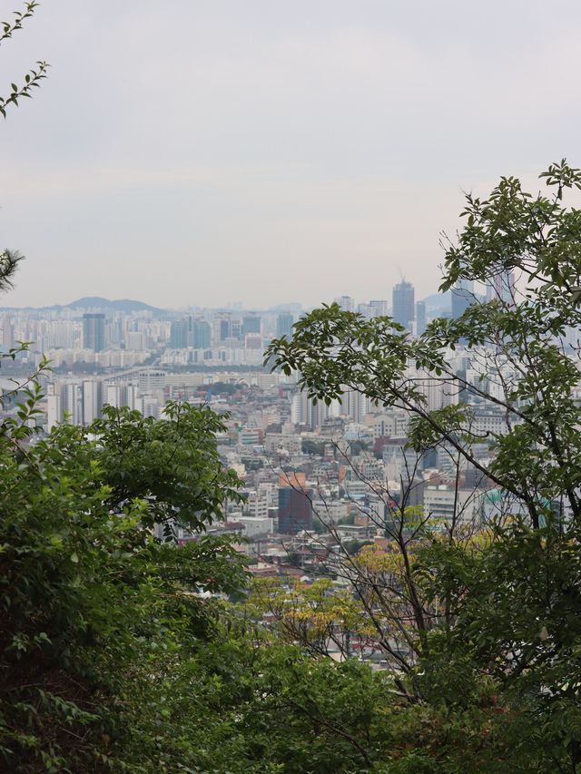 Viewpoints from the Seoul Tower 🌁🏙️