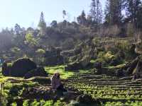 A Panorama View over Sapa Town