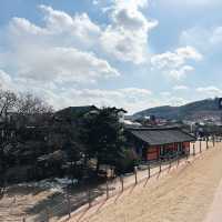 국내 여행 수원 핫플은 바로 수원화성⭐️