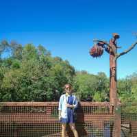 Walt Disney World Resort