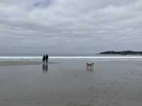 Carmel-by-the-Sea，a romantic getaway