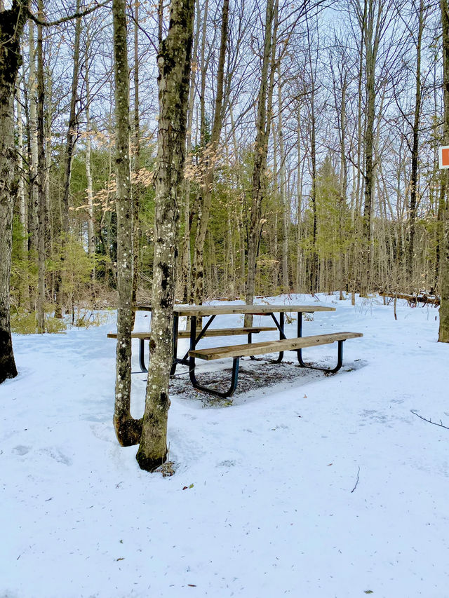 Spring Hike at Warsaw Caves