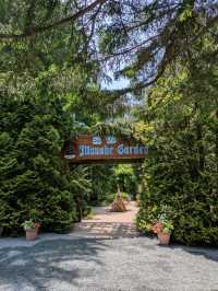 Blue Spruce Tokachiya: Your Garden Table Awaits 🐿️☕️