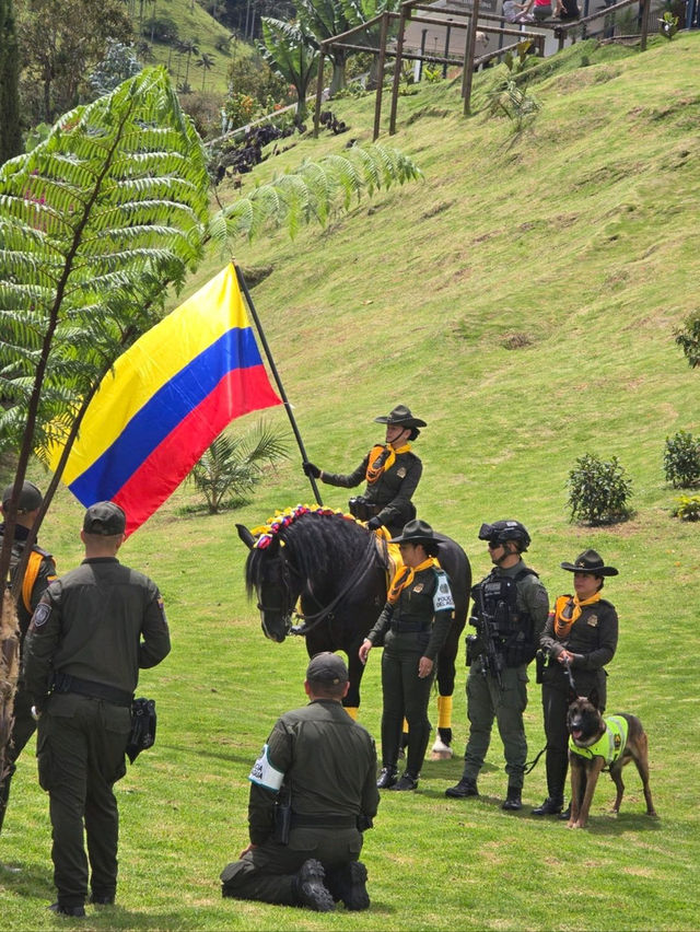 🌟走進《魔法滿屋》的一天｜La Carbonera & Cocora Valley 棕櫚樹仙境攻略 🇨🇴