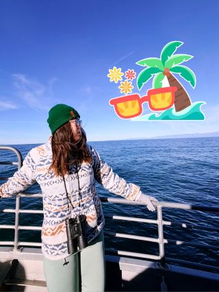 페리 뷰 - 벤투라 항구, 캘리포니아