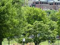 Strolling Through Boston Public Garden & Common: City Views and Historic Vibes 🌳🏙️
