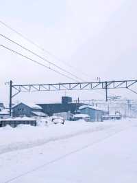 ❄️ Otaru in Winter | A Snow-Covered Fairytale
