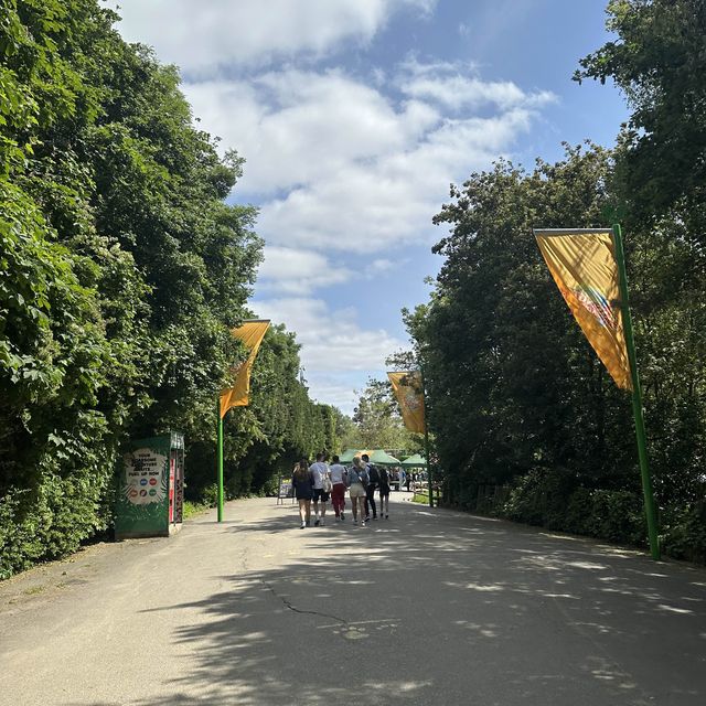 Chessington World of Adventures Resort