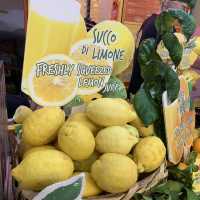 이태리 나폴리공항에서 소렌토 여행시작!🍋