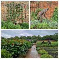 🌿 Hampton Court Maze! 🏰🌼