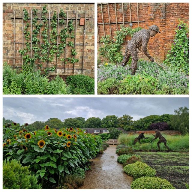 🌿 Hampton Court Maze! 🏰🌼