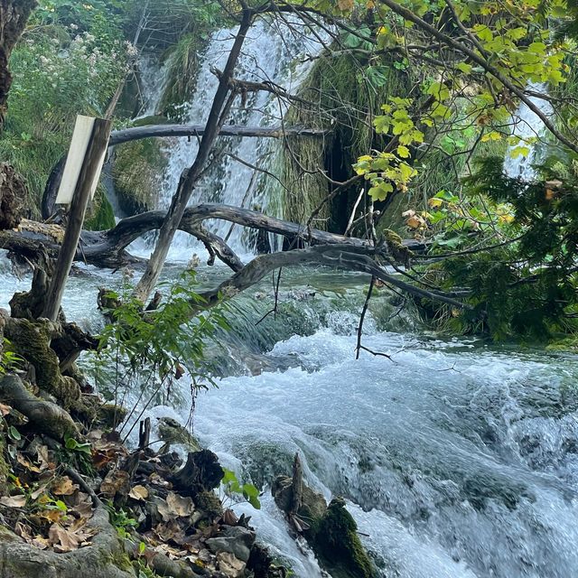 克羅埃西亞🇭🇷普利特維採湖群國家公園 ｜ 防君子不防小人😤自由行🚶🏼