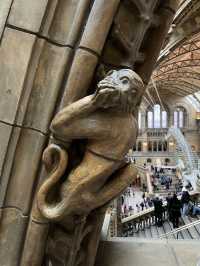 Visit the Natural History Museum! 🐒🌴 