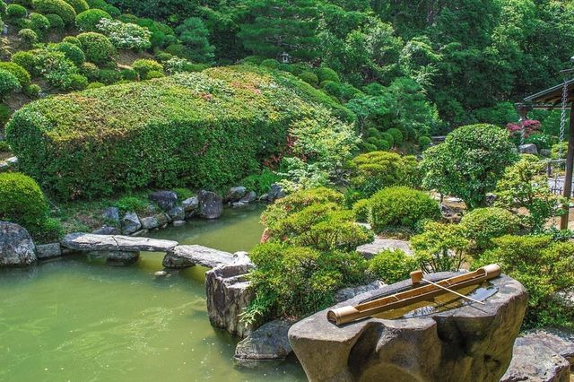 Enchanting Kyoto Gardens