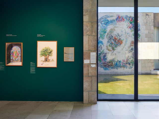 Marc Chagall National Museum 🗺️