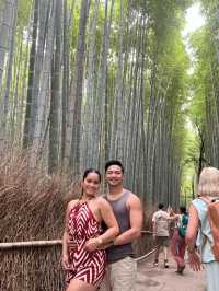 Arashiyama Bamboo Forest