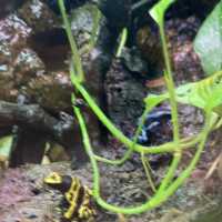 Malta National Aquarium: An Underwater Adventure 🌊🐠