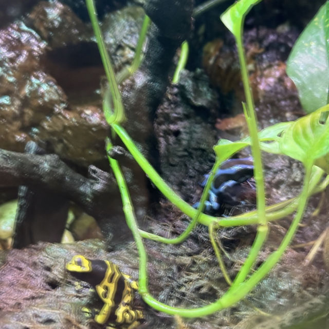Malta National Aquarium: An Underwater Adventure 🌊🐠