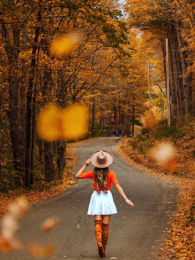 뉴잉글랜드 미국 가을 성수기 🍂