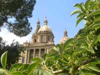 BCN calling