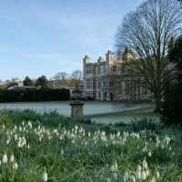 🌸🌿 Spring Has Landed at Audley End House & Gardens in Uttlesford! 🌿🌸