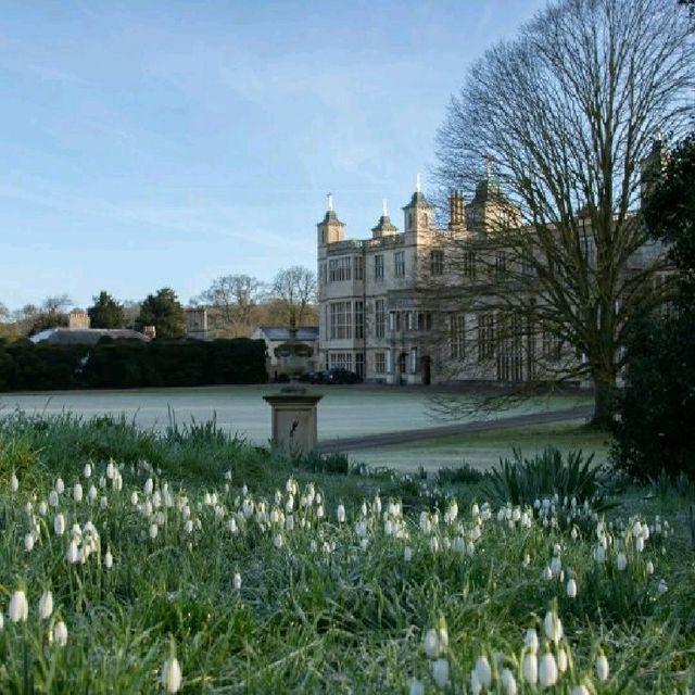 🌸🌿 Spring Has Landed at Audley End House & Gardens in Uttlesford! 🌿🌸