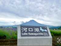 從河口湖眺望富士山
