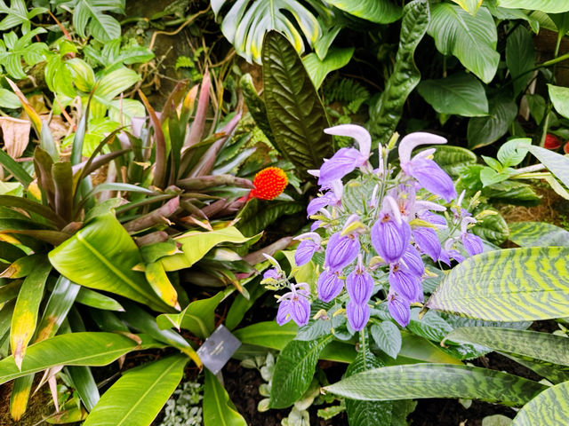 London’s Springtime Magic at Kew Gardens