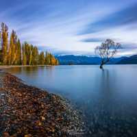 North Island