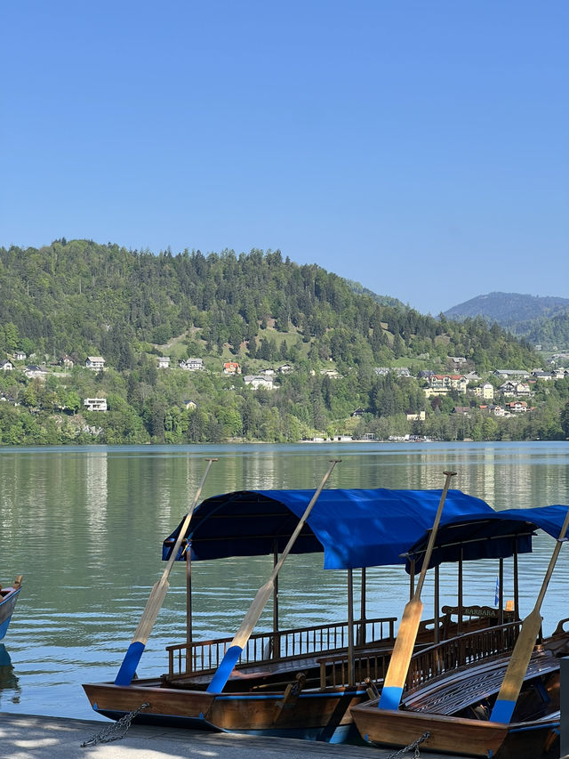 🇸🇮 斯洛維尼亞布萊德（Bled） 🚲
