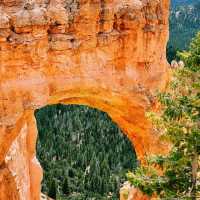 🥾🧡 Top Hikes in Bryce Canyon National Park