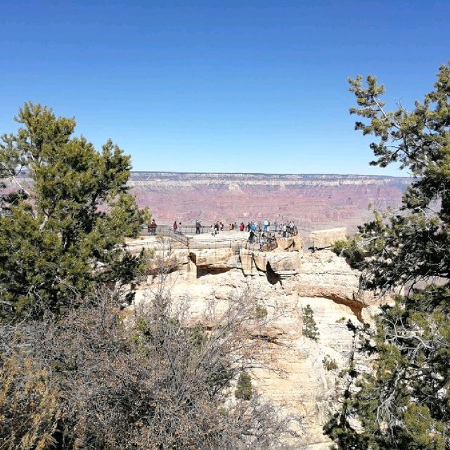 South Rim Wonders – A Grand Canyon Adventure
