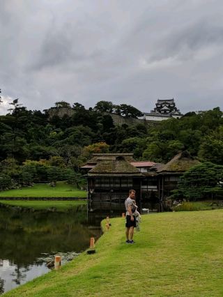 Hikone Castle 