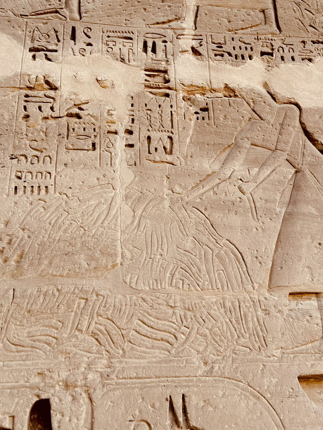 埃及🇪🇬法老的戰功簿—哈布城 Medinet Habu