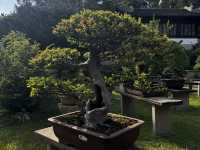 Tiger Hill - A must see in Suzhou 