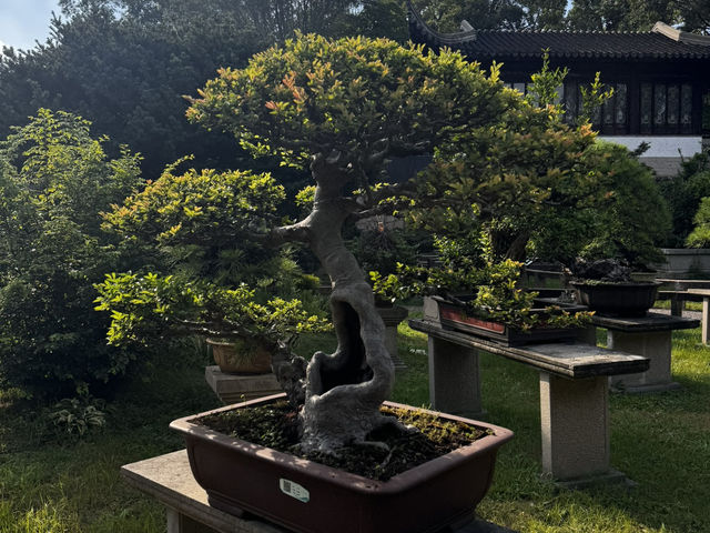 Tiger Hill - A must see in Suzhou 