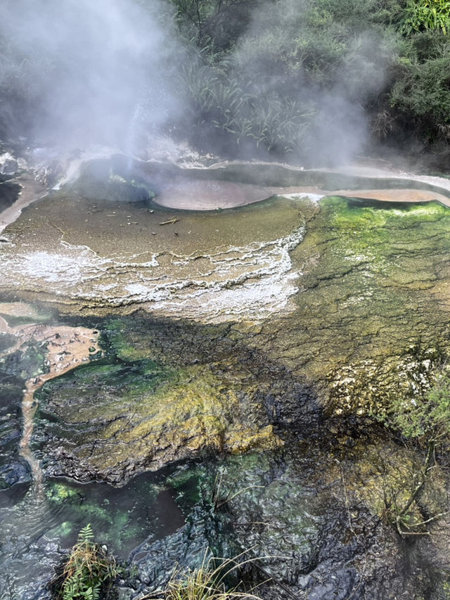 看看火山爆發🌋