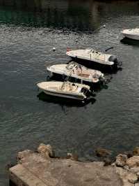 🌊⚓ “Mediterranean Soul: A Day in Marseille” 🇫🇷